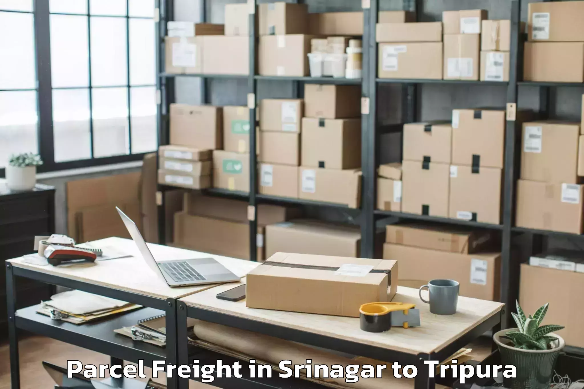 Discover Srinagar to Bishalgarh Parcel Freight